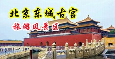 黑人巨屌中国北京-东城古宫旅游风景区